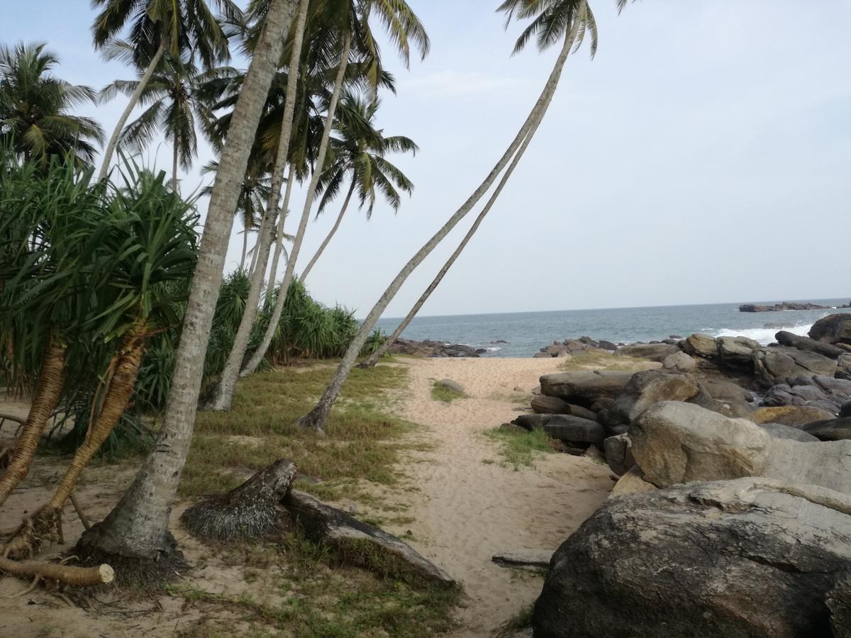 فندق تانجاليفي  Golden Beach Rest المظهر الخارجي الصورة